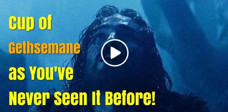 Cup of Gethsemane as You've Never Seen It Before! Cup of Gethsemane as You've Never Seen It Before!
