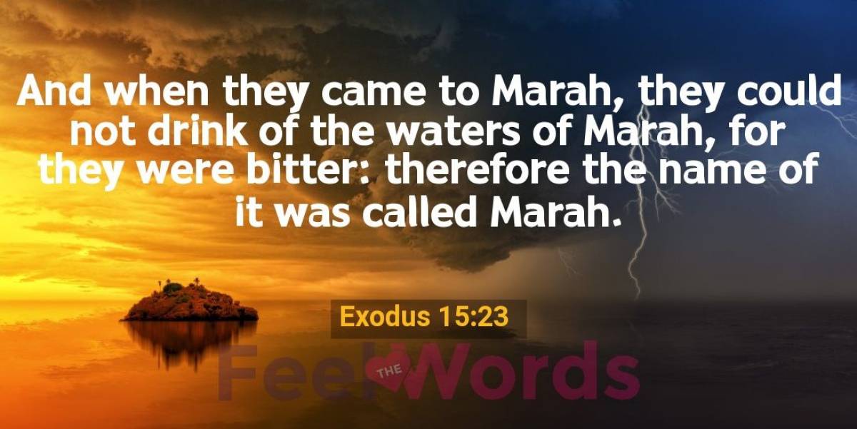 Daily Devotional (February052022) The bitter waters of Marah